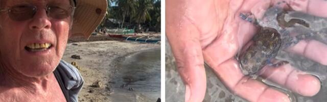 Ugledao je SLATKO STVORENJE i uzeo ga u ruku: Pukom srećom je ostao živ, a tek kasnije saznao JEZIVU istinu