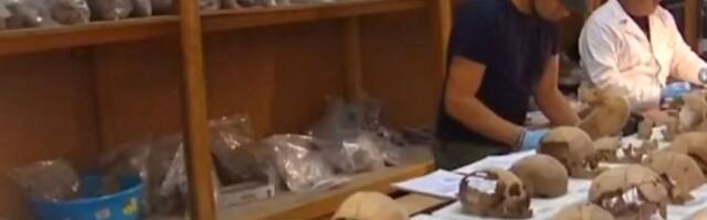 Novo otkriće ukazuje na najranijeg pretka ljudi: Moguće da je hodao uspravno pre sedam miliona godina