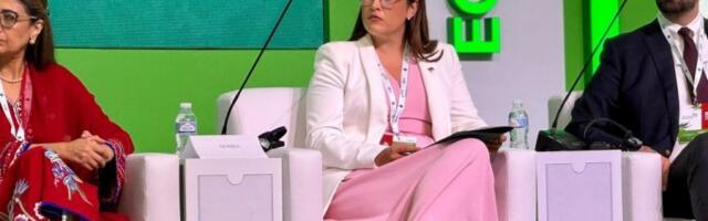 Pavkov: Zelena tranzicija nije trošak, već nvesticija u stabilnost i održivi razvoj