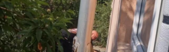 Šta je ovo crni Vladice? Besne kao ris, ali on ne odustaje (VIDEO)