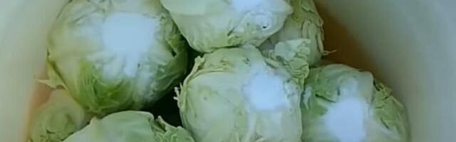 Svetski poznati sauerkraut: Originalni nemački recept za kiseli kupus – tajni začin čini ga savršenim