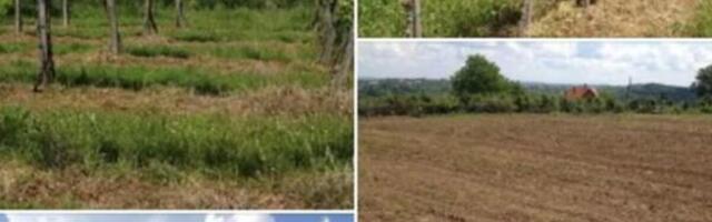 Plac na odličnoj lokaciji se prodaje za samo 24.000 evra: Ima više od 40 ari i asfalt do parcele (FOTO)