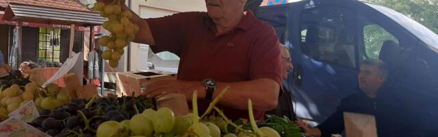 Глишићи излажу на Опленачкој берби преко пола века, ове године њихови гроздови достигли скоро четири килограма