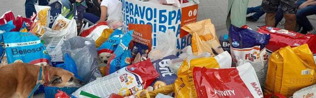 Novosađani donirali preko pola tone hrane i još 88.000 dinara za pse zbrinute sa ulice