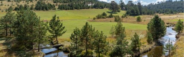 Zlatibor u susret prvomajskim praznicima