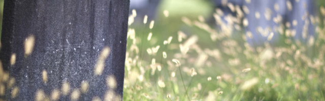 Verovali ili ne, ali navijači na ovom stadionu BUKVALNO stoje na mrtvima