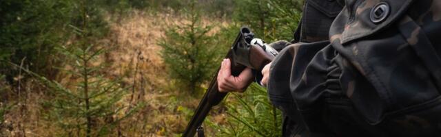 Ubijen lovočuvar, uhapšene 4 osobe: Tragedija kod Vinice