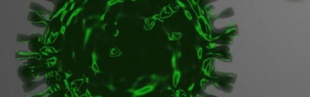 U Hrvatskoj 8 potvrđenih slučajeva omikrona!