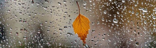 Letnjim danima došao kraj: Stižu prave jesenje temperature