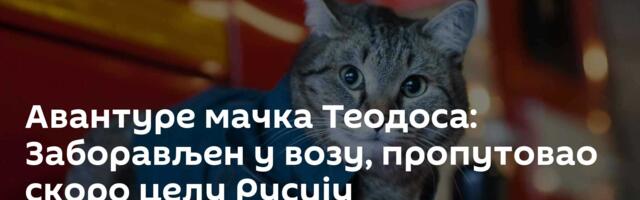 Авантуре мачка Теодоса: Заборављен у возу, пропутовао скоро целу Русију