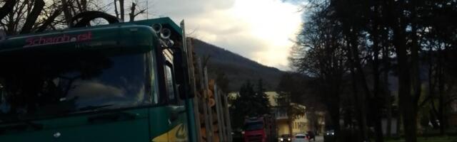 Čitaoci javljaju: Dupli kamioni užičkih tablica odvoze drva sa Kukavice
