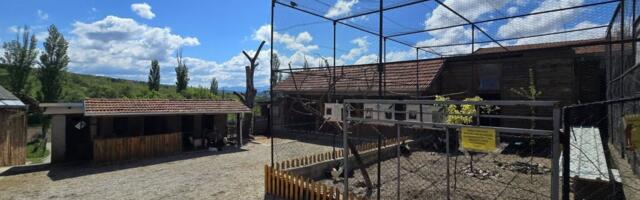 Trenutak mu je promenio sudbinu: Neobična priča iz Niša