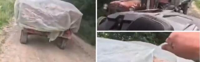 ŠTA RADITE, BRE? HOROR U SRCU SRBIJE! Bacaju leševe životinja koje su uginule od AFRIČKE SVINJSKE KUGE NA 100 METARA OD DOMAĆINSTAVA! (VIDEO)