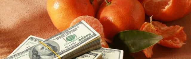 SRBI JE BACAJU U SMEĆE, A KINEZI JE PLAĆAJU SUVIM ZLATOM! Ova biljka u Kini košta 300 dolara po kilogramu!