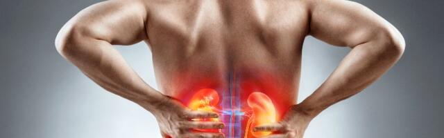 U Indiji se pojavila Google reklama za prodaju bubrega po ceni od milion dolara