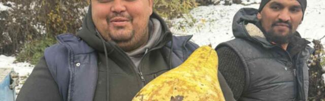 Šta je ovo, ljudi: Čudnovata voćka šokirala meštane Kuršumlije