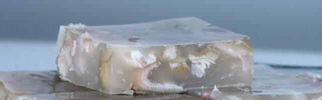 Dobra i loša strana pihtija