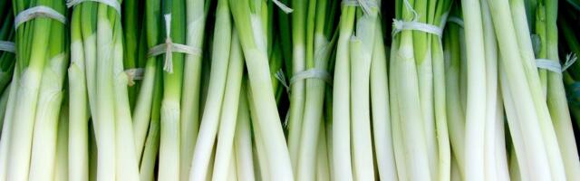 Prolećna namirnica puna vitamina: Mnogi je redovno jedu, a ni ne znaju koliko je zdrava