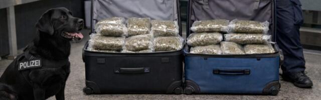 Bečki pas nanjušio 43 kg droge u koferu mladog Bugarina