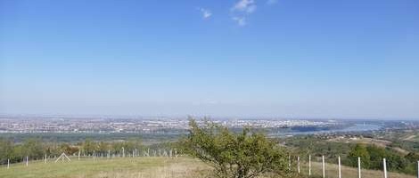 Dragana Arsić: Na brdu Kesten je sve prekršeno na štetu prirode