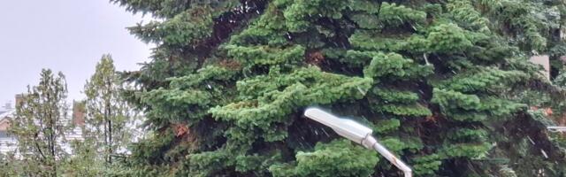 Sneg u Vranju i na jugu