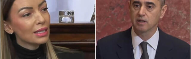 MINISTARKA MESAROVIĆ &quot;UBILA&quot; NIKEZIĆA ARGUMENTIMA U kom postupku, od kojih banaka, uz koju proviziju? Rušili ste državu, a rušite je i sada!