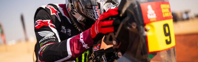 Vitezi peščanih dina