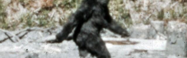 Da li je najpoznatiji snimak Bigfuta iz 1967. godine prevara? Neočekivani obrt koji menja sve!