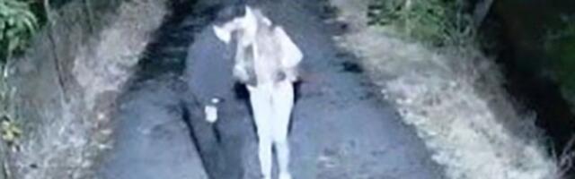 "Može deda da joj bude, šetali su zagrljeni" Isplivali novi detalji afere Sofije Janićijević sa Danetom (70)