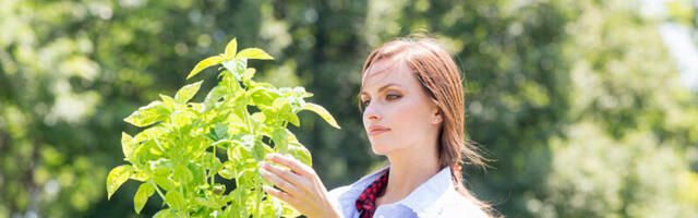 5 biljaka koje možete zasaditi i koristiti za negu celog tela