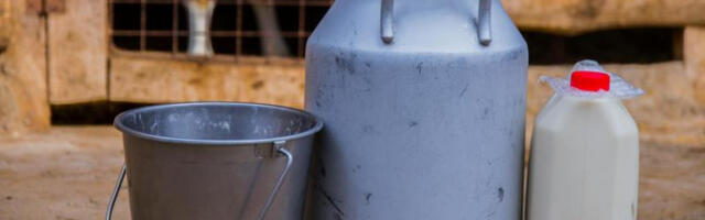 ​Србија: хитне консултације са Европском комисијом због ситуације на тржишту млека