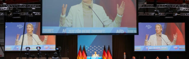 Доња Саксонија прогласила АфД за екстремистичку групу