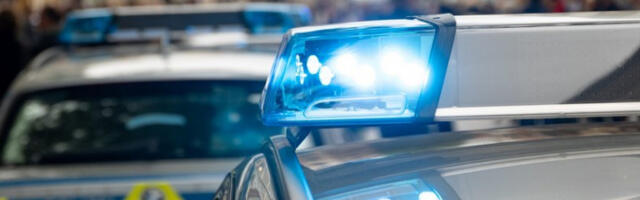 Наоружани мушкарац пуцао у парку пуном људи у Литванији