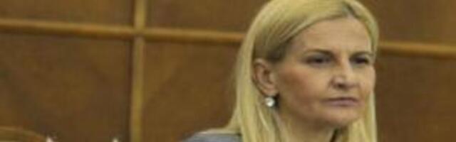 Мишчевић: Резолуција ЕП необавезујућа, без замрзавања фондова