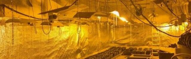 NA SOKOCU OTKRIVENA LABORATORIJA ZA UZGOJ MARIHUANE: Pronađeno pet kilograma droge
