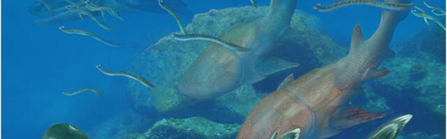 Enigmatični fosili ispunjavaju nedostajuća poglavlja u priči o prvim ribama na Zemlji