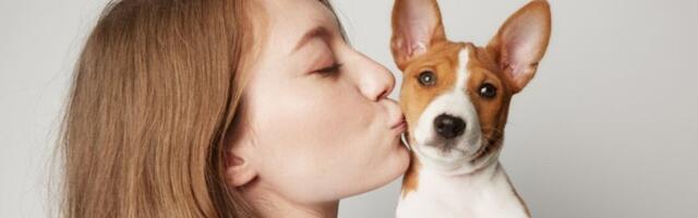 Ne slušaju komande, ali osvajaju srca: Najneposlušniji psi na svetu - spremite živce (FOTO)