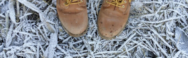 ZA PRVI MAJ - MRAZ! Šokantna vremenska prognoza za početak maja - OVOME SE NIKO NIJE NADAO!