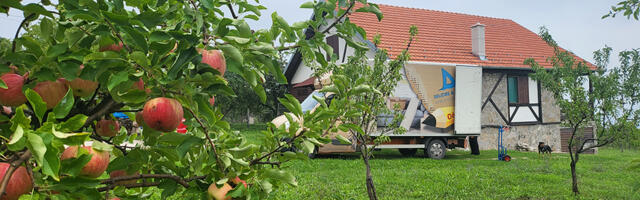 Agencija za selidbe Ajkula – vaš budući saveznik