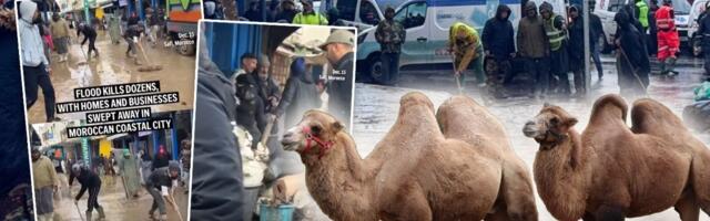 (FOTO/VIDEO) Kamile u šoku: Pustinja se zabelela, poplave potopile Bliski istok i Afriku - Ovako nešto se nije videlo decenijama!
