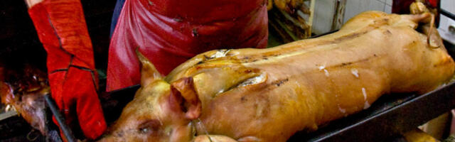 Прасићи уочи празника и даље имају добру цену