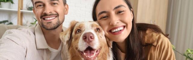 Najpopularnije rase pasa u 2025: Nežne naravi, obožavaju decu i beskrajno odani (FOTO)