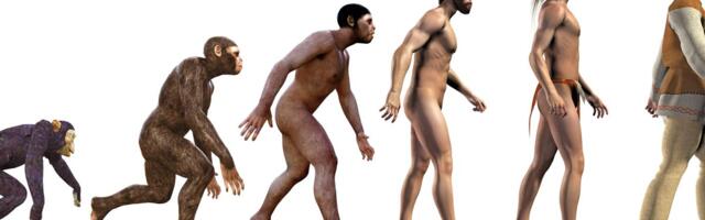 Homo habilis je najraniji čovek. Međutim, da li uopšte pripada ljudskom rodu?