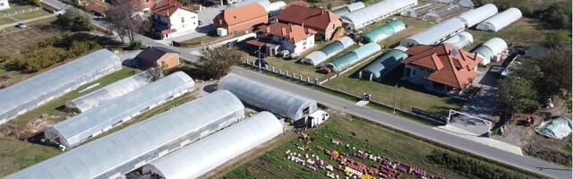 Raspisan konkurs za dodelu bespovratnih sredstava za razvoj plasteničke proizvodnje na teritoriji opštine Prijepolje