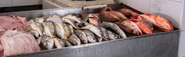 Cena ribe pred Nikoljdan: Evo kako da prođete što jeftinije (TABELA)
