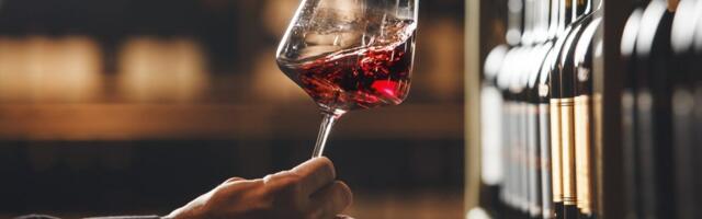 Ovo su najbolja vina i vinarije Srbije za 2025. godinu