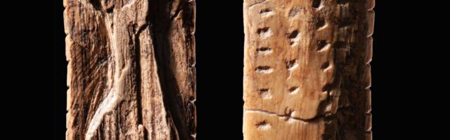 Da li su ovi znaci u stvari zapisi stariji 30.000 godina od prvog pisma? Neobična teorija naučnika iz Nemačke