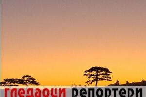 Гледаоци репортери (4. новембар 2022)