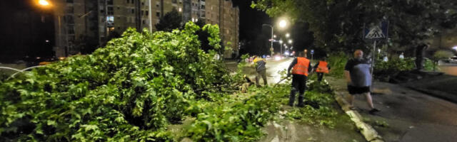Uklanja se popadalo drveće, stabilizovalo se vreme u zapadnoj Srbiji