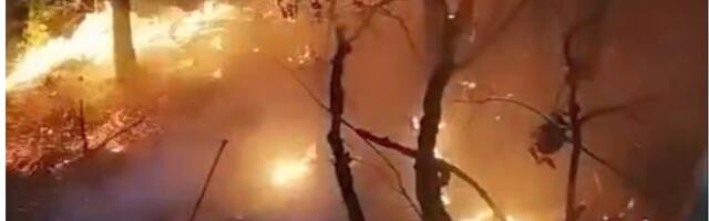 Meštani gasili požar na obroncima Suve planine